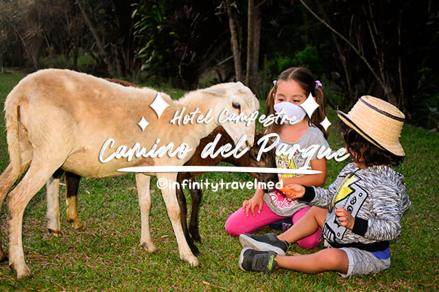 Hotel Camino del Parque