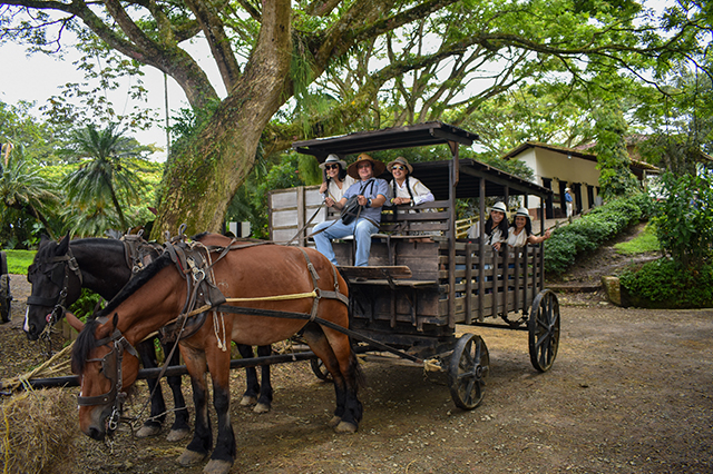Salento - Valle del Cocora