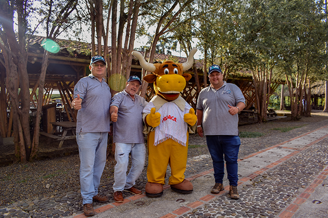 Salento - Valle del Cocora