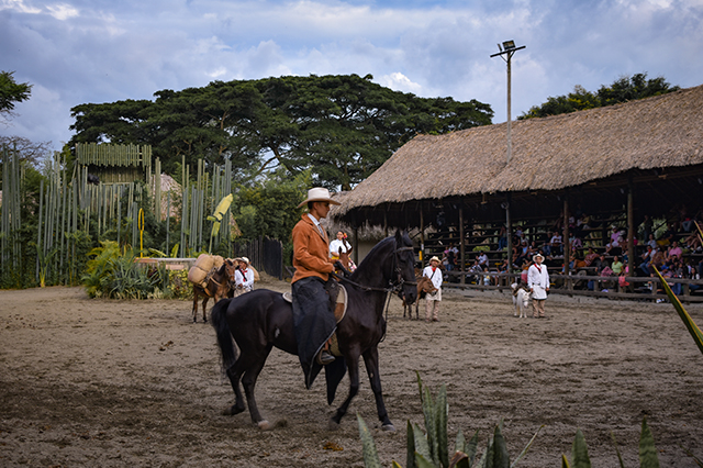 Salento - Valle del Cocora