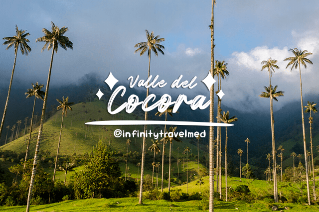 Valle del Cocora